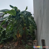 Chủ nhà nhờ bán lô đất đẹp tại thố bảo, vân nội, đông anh, hà nội