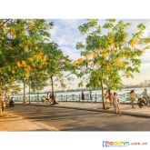 Bán nhà trích sài - quận tây hồ, hàng hiếm hot, lô đất cực đẹp, ô tô, 3 bước ra hồ,ở sướng, kinh