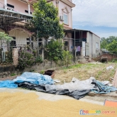 Bao sang tên 61m xuân bách đối diện kcn nội bài đường thông ô tô đỗ.