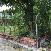 Đất vuông vứt hẻm 520 quốc lộ 13 sát vạn phúc city ngag 7.5m 214m2 giá 7.8 tỷ