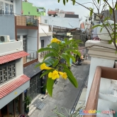 Bán nhà 3 tầng phan huy ích chỉ 4,35 tỷ hẻm to 6m  không quy hoạch không lộ giới view siêu đẹp