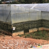 Chủ cần bán lô đất xrnn >1000m2 p3 đà lạt, đường oto 3m vào thẳng đất