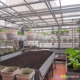 Cần bán gấp nhà khương đình. q.thanh xuân - ngõ thông kinh doanh nhỏ - dt: 61m² nhỉnh 6 tỷ.
