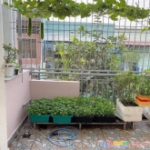 Bán nhà gấp hẻm xe hơi lũy bán bích, diện tích 84m2, pháp lý chuẩn